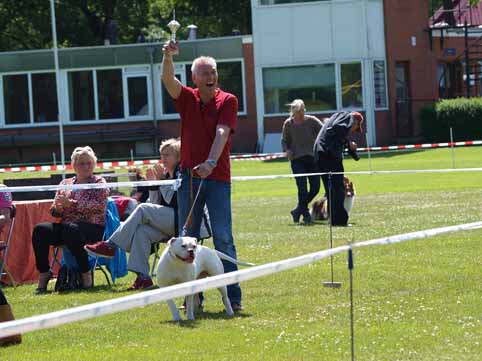 Zomershow 15 juni 2013 